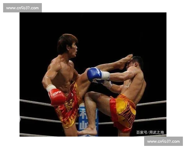 方便对决沙西拉克的实力碰撞与中外格斗风格巅峰较量全面解析之战