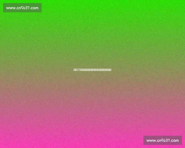 拳王VS巅峰对决全面解析擂台荣耀与力量的终极碰撞